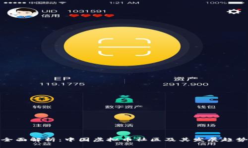全面解析：中国虚拟币社区及其发展趋势
