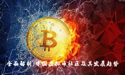 全面解析：中国虚拟币社区及其发展趋势
